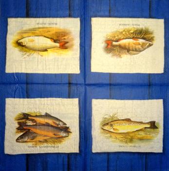 010 Fische - 3-lagig - Ihr - V&A Museum